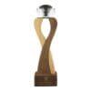 Wooden Crystal Trophy - Image 2