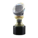 Crystal Trophy in Wooden Box