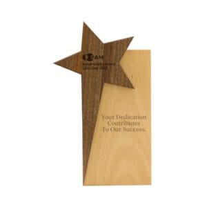 Star Design Wooden Trophy - Image 2