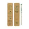 Ghaf Seed Plantable Pencil in Single Pack Eco-Sleeve