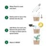 Plant A Pencil Kit - Image 4