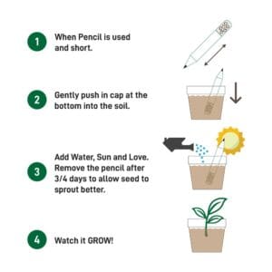 Plant A Pencil Kit - Image 4