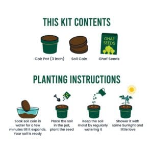 Plantable Kit with GHAF Seeds in Kraft Box - Image 4