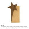 Star Design Wooden Trophy - Image 3