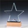 Star Shaped Crystal Awards - Image 4