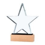 Star Shaped Crystal Awards
