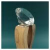 Wooden Crystal Trophy - Image 4