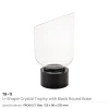 Crystal Trophy with Round Black Base in Premium Fiber Box - Image 3
